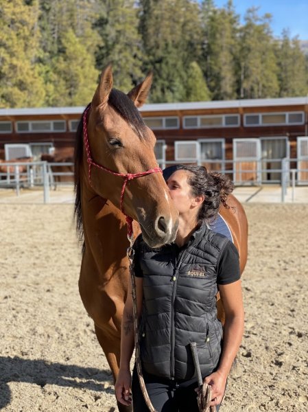 Ecurie Equi-El - photo 3