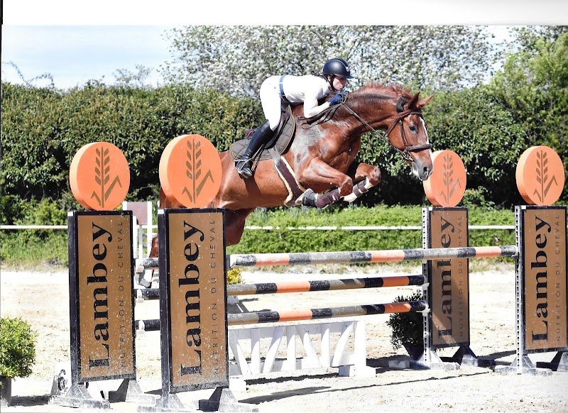 Ecuries du VARAIN - photo 2