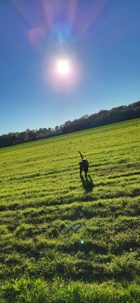 L'écurie du Val Joyeux - photo 2