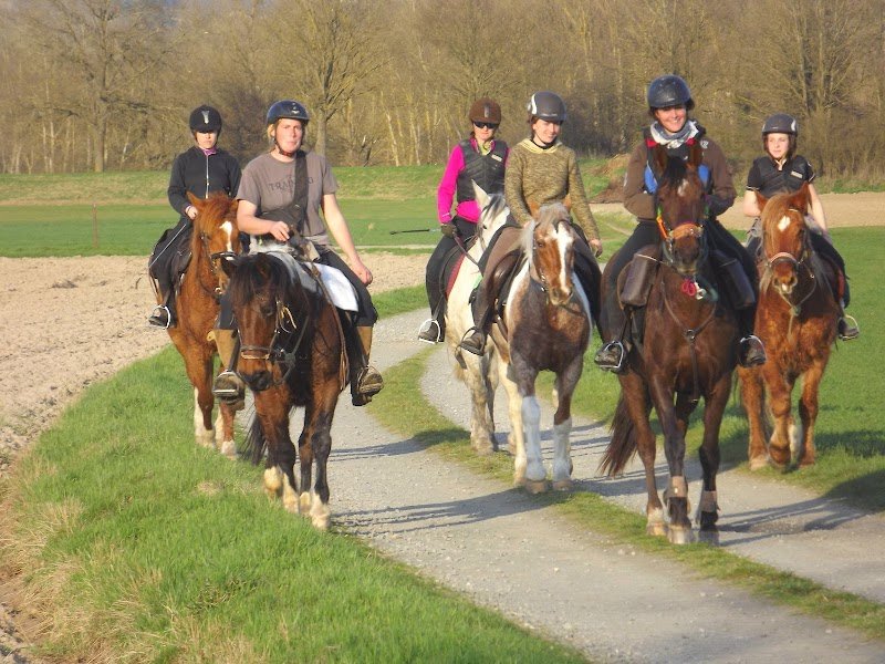 Centre équestre les chevaux de la plaine - photo 1