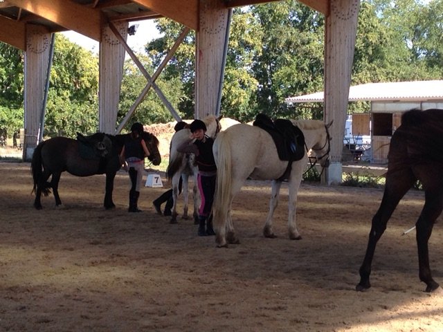 Pôle équestre Bordeaux Saint Sulpice et Cameyrac - photo 1