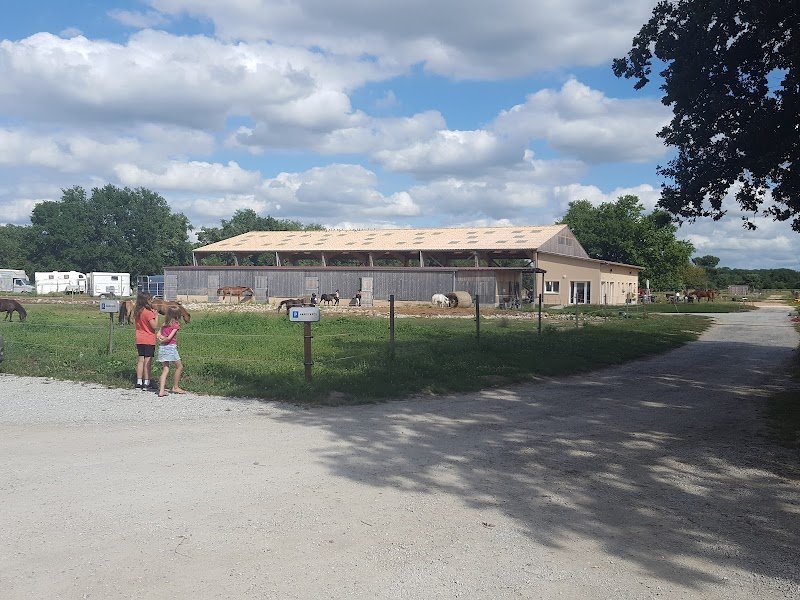 Pôle équestre Bordeaux Saint Sulpice et Cameyrac - photo 2
