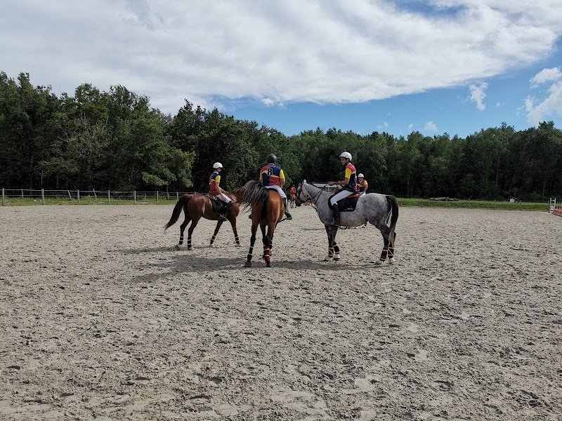 Pôle équestre Bordeaux Saint Sulpice et Cameyrac - photo 3