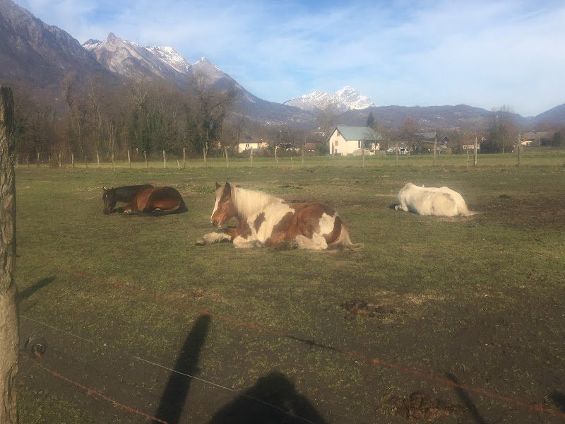 Pension équestre du penjab - photo 2