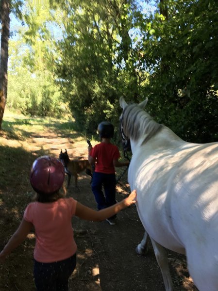 Les Écuries d’Aphrodite - photo 1