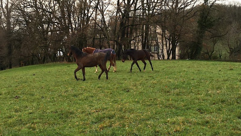 Les Écuries d’Aphrodite - photo 3