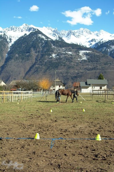 Un cheval Une vie - photo 3