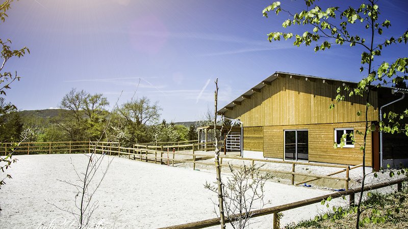 Écurie Active Lo Vardiafs - photo 1