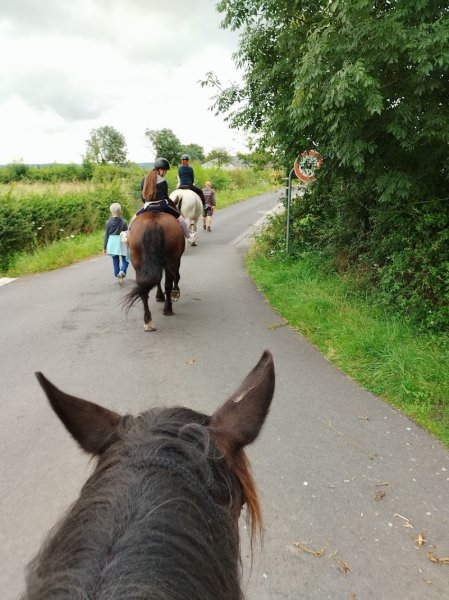 Haras des Kelpies - photo 3