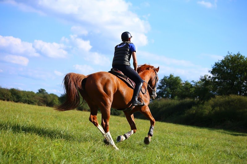 Centre Équestre de Villiers - photo 2