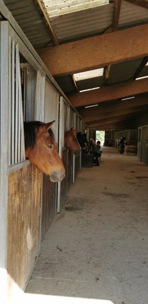 Centre Équestre de Villiers - photo 3