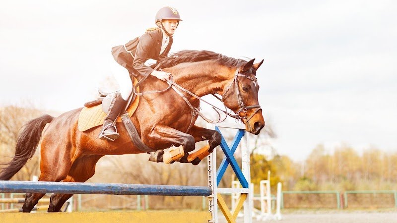 Écurie du Montais - photo 1