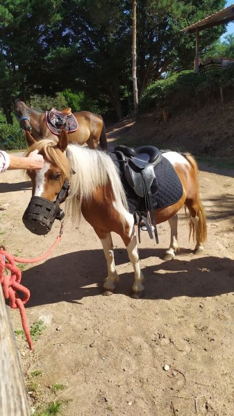 Centre Equestre Jéléna - photo 1