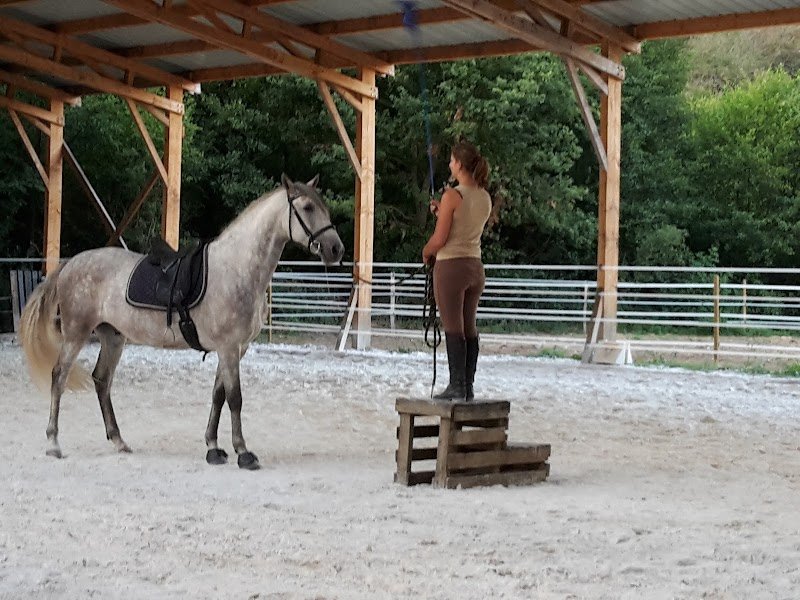Centre Equestre Jéléna - photo 2