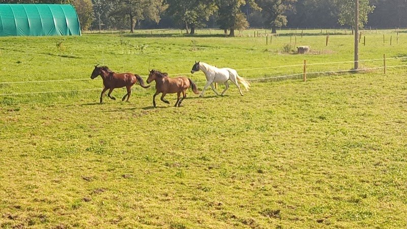Ecurie Equiterra de la Ribiére - photo 3