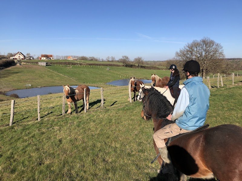 Aux Tains Pension Chevaux - photo 2