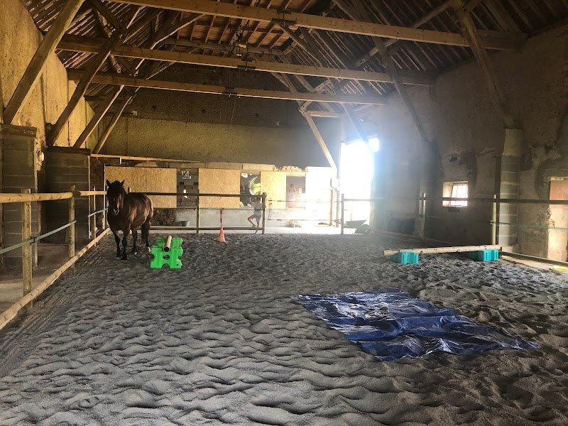 Aux Tains Pension Chevaux - photo 3