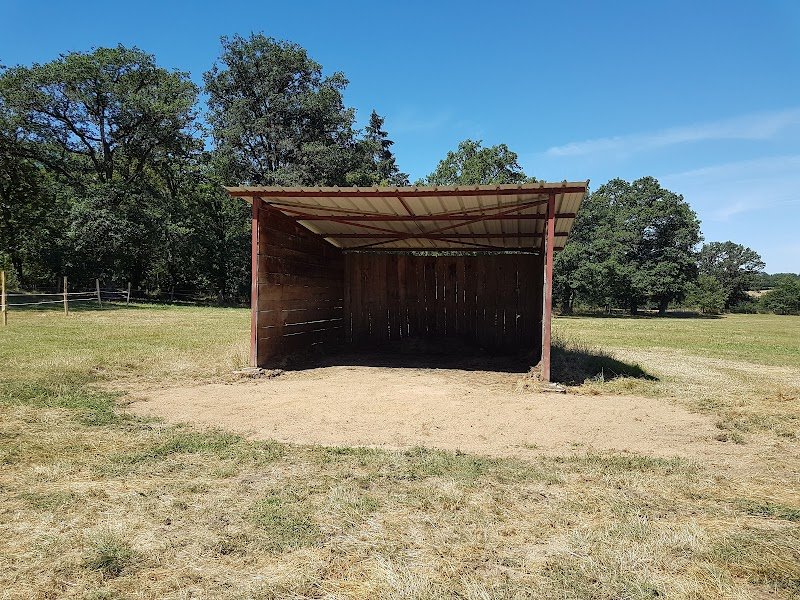 Ecurie / Pension Villebruyère - photo 3