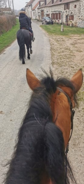 Domaine Equestre du Theil - photo 1