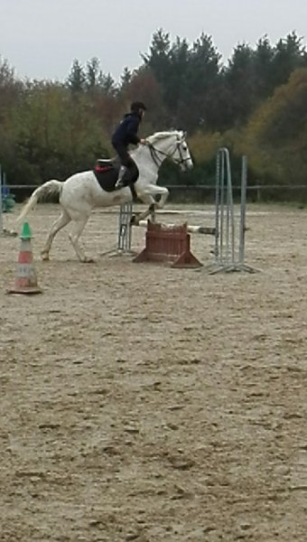 Centre Équestre / Poney Club de la Forge - photo 1