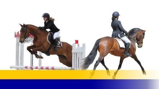 Centre Équestre / Poney Club de la Forge - photo 2