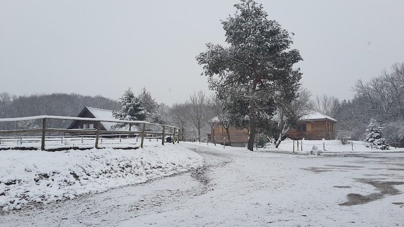 Centre Équestre / Poney Club de la Forge - photo 3
