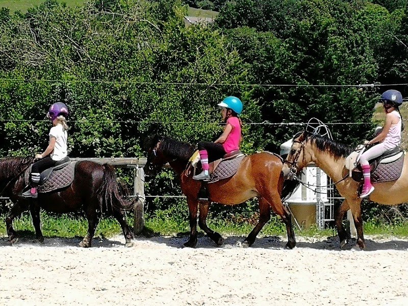 Centre Équestre de l'Ecurie de Verduizant - photo 2