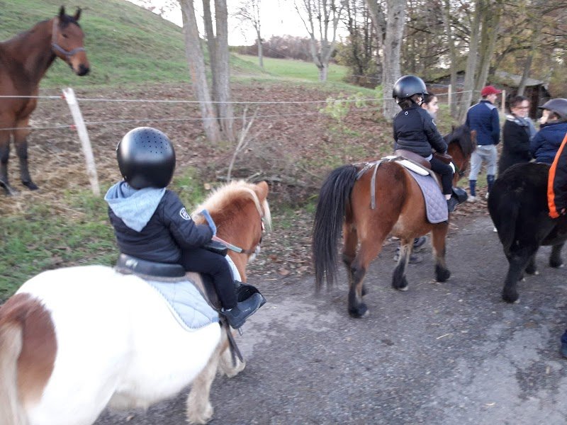 Centre Équestre de l'Ecurie de Verduizant - photo 3