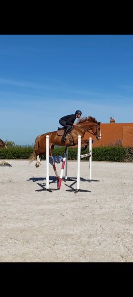 Ecurie RMD 03 - photo 1