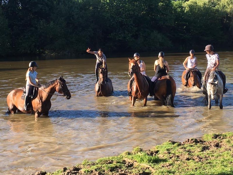 Écuries des Sorreaux - photo 2