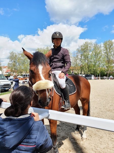 Écurie du Beau Rosier - photo 3