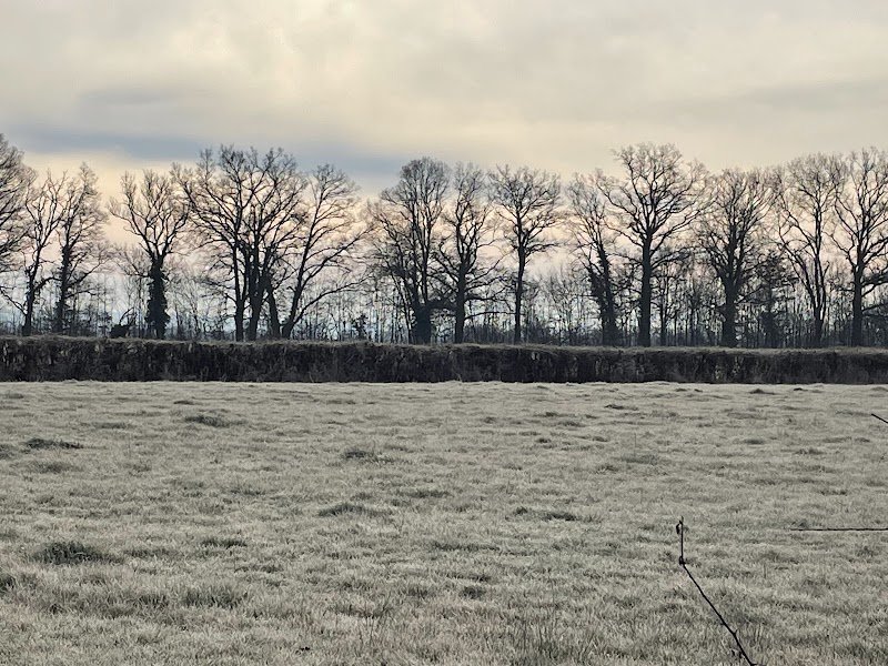 Les chevaux de Moladier - photo 3