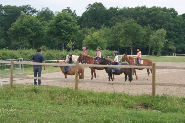 Ecuries de la Carmone Bondeau Pascal - photo 3
