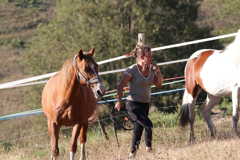 Ecuries HorSysteme - photo 1