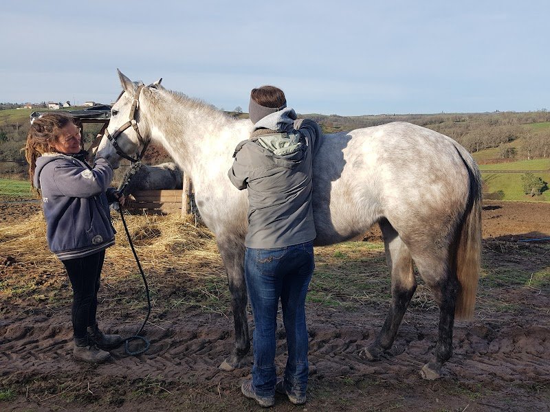 Ecuries HorSysteme - photo 3