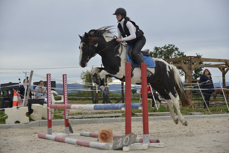 Haras des forges - photo 1