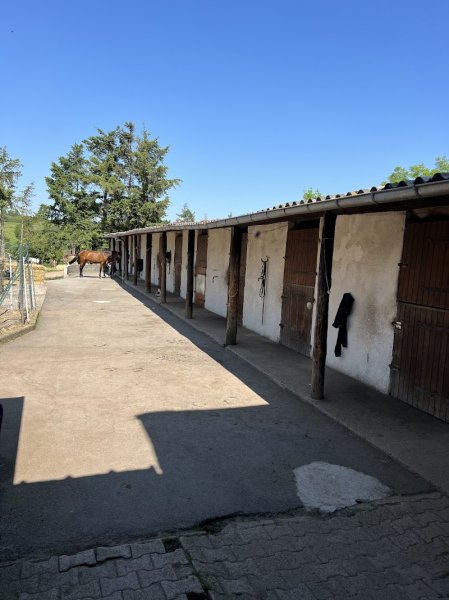 Ecurie du jas de Lalong - photo 2