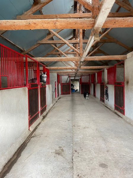 Ecurie Luisa ARGAN - photo 1