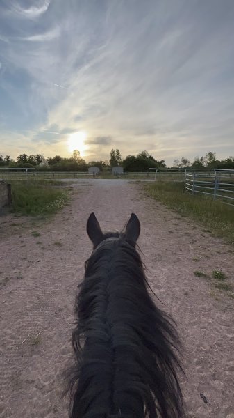 Les écuries de Servilly - photo 3