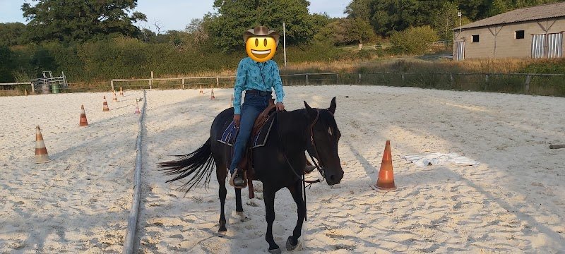 Pension équestre Le Gourneix ( Creuse ) - photo 2