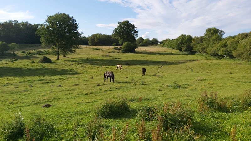 Pension équestre Le Gourneix ( Creuse ) - photo 3