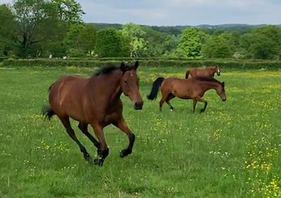 Pension de la Petite Creuse - photo 1