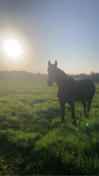 Pension de la Petite Creuse - photo 2