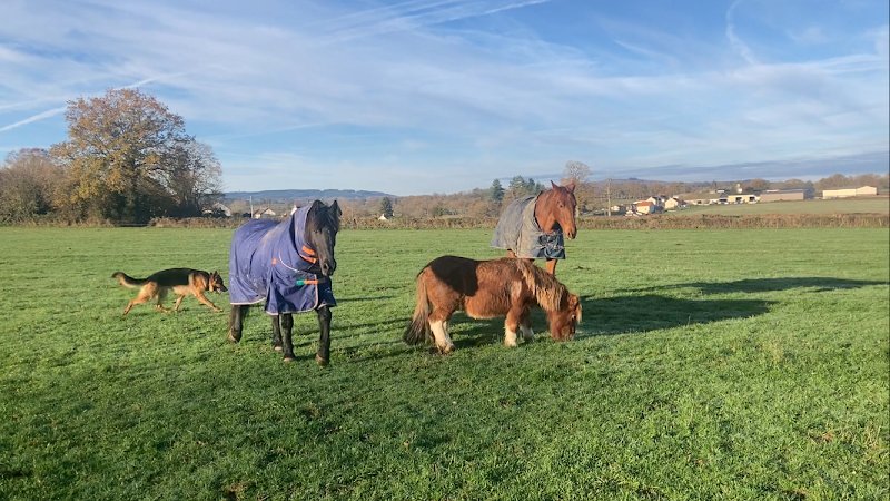 Pension de la Petite Creuse - photo 3