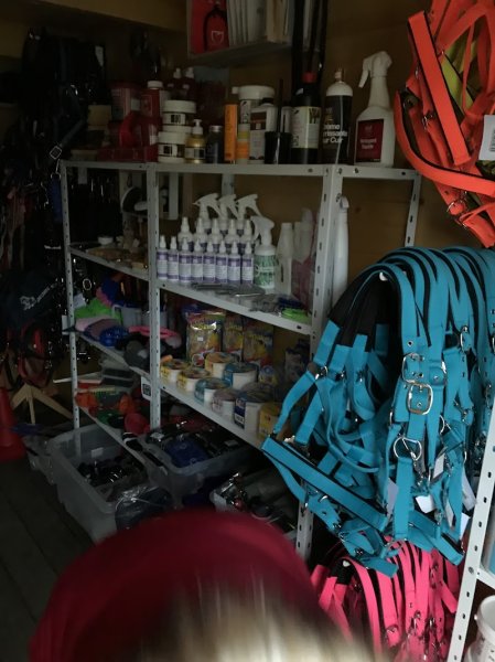 K-BRIOLE | Boutique et sellerie en ligne - photo 2