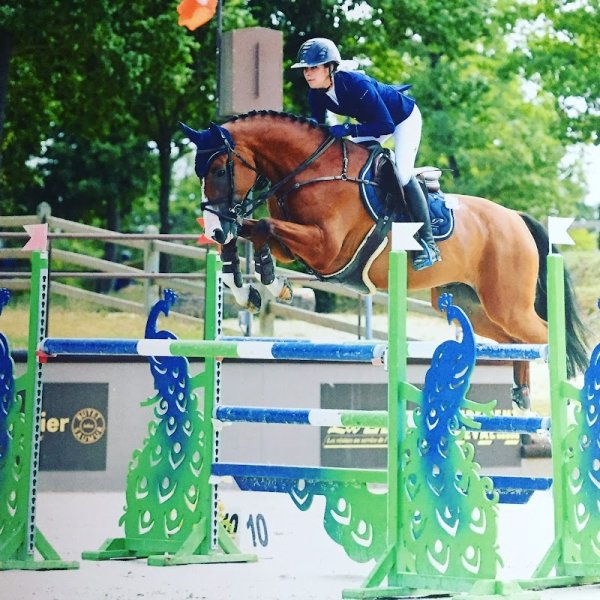 Ecuries Du Clos Des Vignes - photo 2