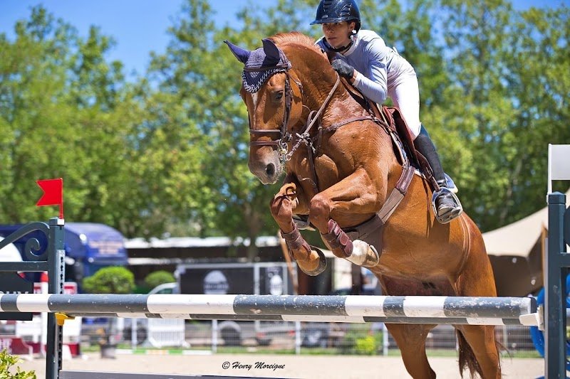 Ecuries Du Clos Des Vignes - photo 3