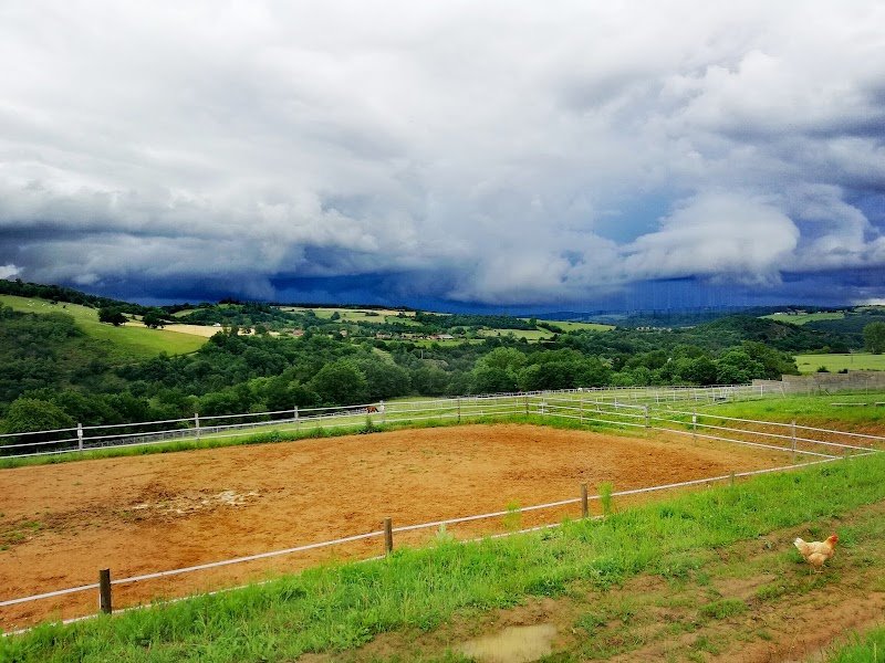 Les Écuries De Saint-Gal