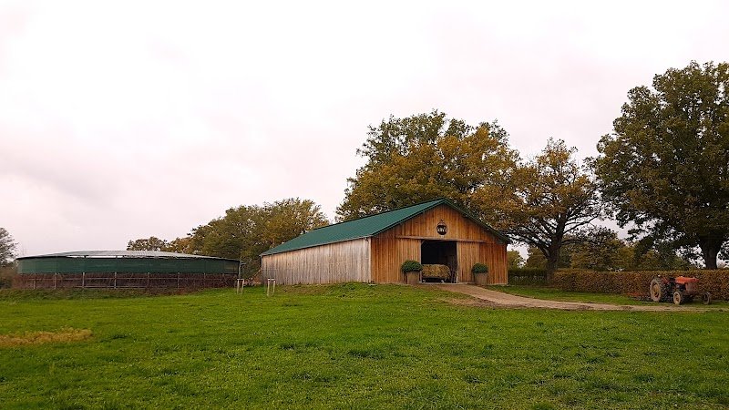 Ecuries du Grand Taillis (débourrage & pré-entraînement)