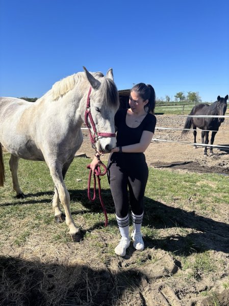 Les Ecuries des Chillins - photo 3